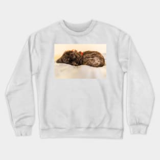 Sleeping fluff fluff Crewneck Sweatshirt